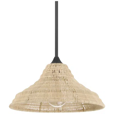 Hunter Agoura Matte Black 1 Light Medium Pendant Ceiling Light Fixture