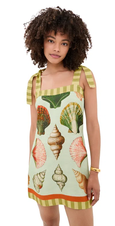 Hunter Alba Dress Somers Shell Mint In White