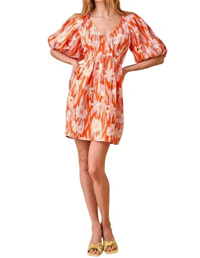 Hunter Andie Dress In Scarlet Lei In Multi