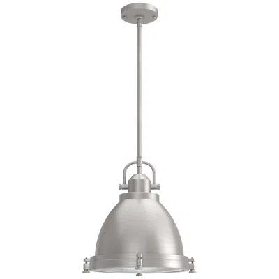 Hunter Bridgemoor Brushed Nickel With Clear Holophane Glass 2 Light Pendant