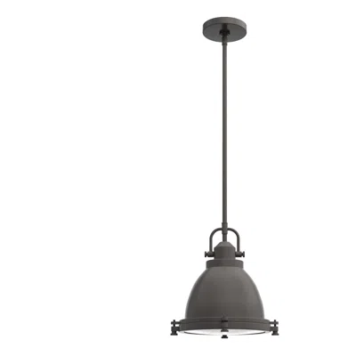 Hunter Bridgemoor Noble Bronze With Clear Holophane Glass 1 Light Pendant In Black