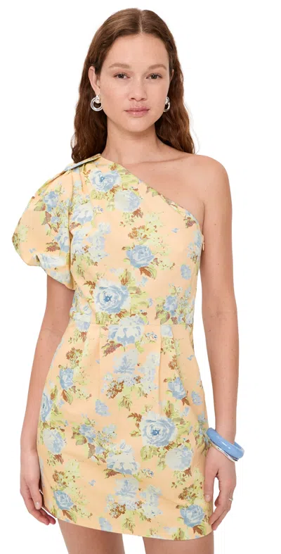 Hunter Chloe Dress Garden Rose Peri