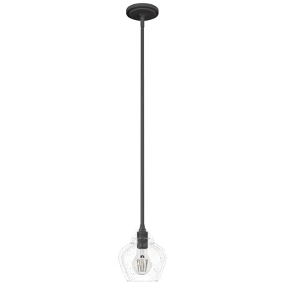 Hunter Dunshire Noble Bronze With Seeded Glass 1 Light Mini Pendant