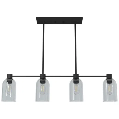Hunter Lochemeade Natural Black Iron With Smoked Glass 4 Light Chandelier