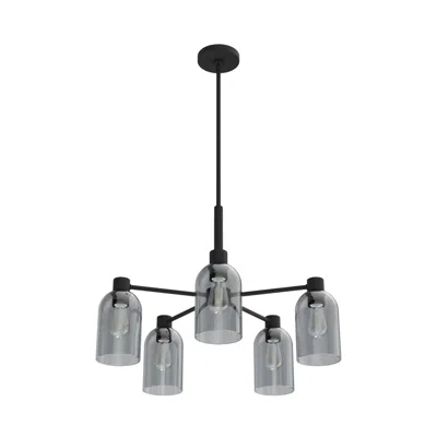 Hunter Lochemeade Natural Black Iron With Smoked Glass 5 Light Chandelier