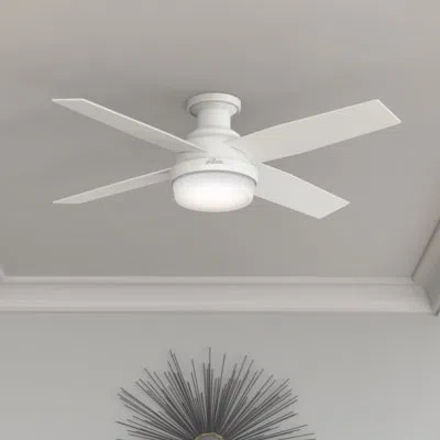 Hunter Pollman Ceiling Fan With Led Lights In Fresh White