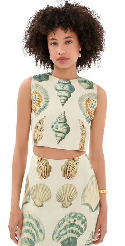 HUNTER ROYCE TOP SOMERS SHELL CREAM
