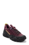 Hunter Sara Waterproof Sneaker In Burgundy