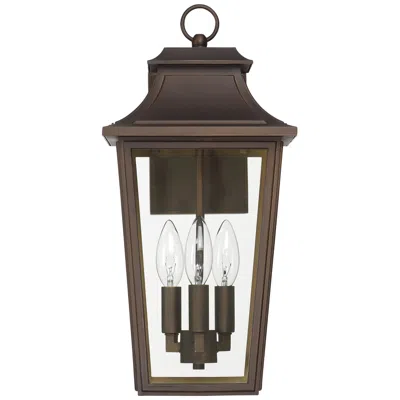 Hunter Spring Cove Matte Bronze Outdoor 3 Light Large 17 Inch Wall Light