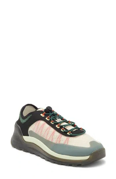 Hunter Travel Trainer Sneaker In Shaded White/green/black