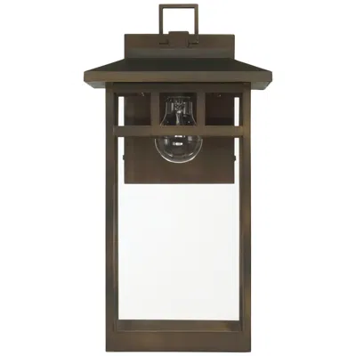 Hunter Yancy House Matte Bronze Outdoor 1 Light Large 17 Inch Wall Light