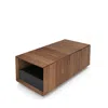 Huppe Edward Rectangular Center Table In Light Natural Walnut / Black