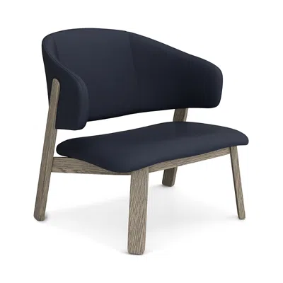 Huppe Wolfgang Lounge Chair In Navy