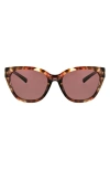 Hurley 55mm Cat Eye Sunglasses In Lilac Demi