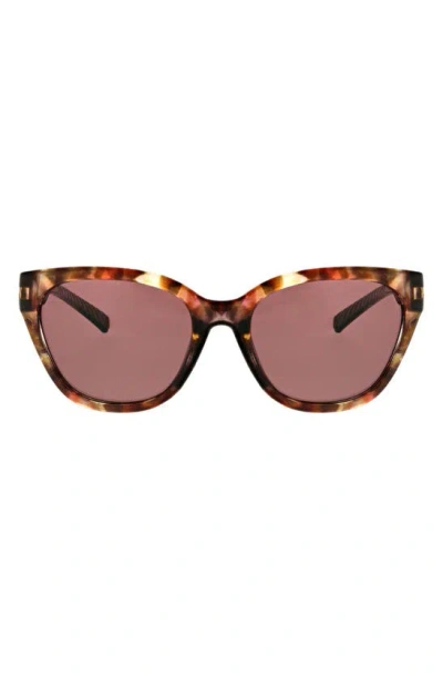 Hurley 55mm Cat Eye Sunglasses In Lilac Demi