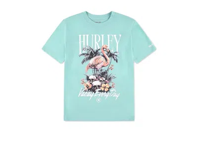 Hurley All Day Vacay T-shirt (big Kid) Boy's T Shirt Jelly Mint : Lg (14/16 Big Kid), Cotton/polyester In Blue