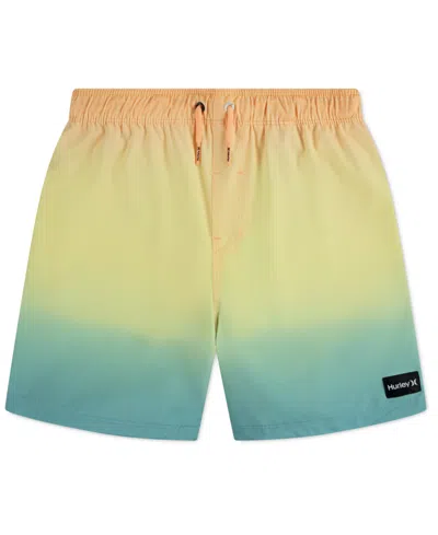 Hurley Kids' Big Boys First Light Pull On Swim Shorts In Multi