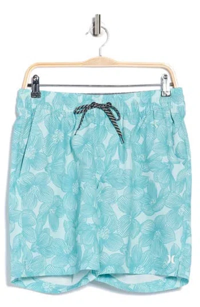 Hurley Jay Volley Swim Trunks In Blue