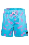 HURLEY HURLEY KIDS' PINEAPPLE POOL PARTY PULL-ON SWIM SHORTS