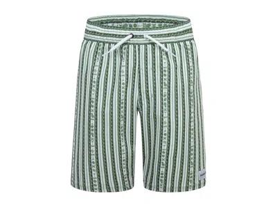 Hurley Mini Vacay Stripe Pull On Swim Trunk (little Kid) Boy's Swimwear Palm Green : 4 Little Kid, Mesh/pol In Gray