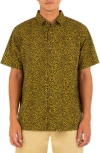 Hurley Rincon Animal Print Short Sleeve Button-up Shirt In Gold Shed