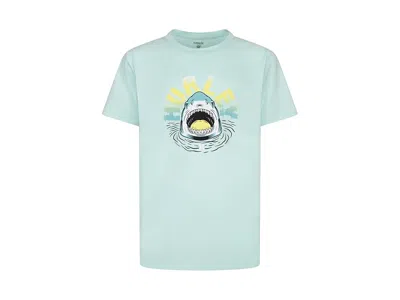 Hurley Shark Peep Graphic Upf T-shirt (little Kid) Boy's T Shirt Mint Candy Heather : 4 Little Kid, Elastan In Blue