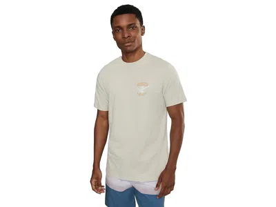 Hurley Skeletor Short Sleeve In Gray