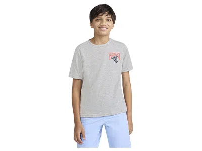 Hurley You Pelican Short Sleeve T-shirt (big Kid) Boy's T Shirt Grey Heather : Md (10/12 Big Kid), Cotton/p In Gray