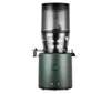 Hurom H320 Ultra Low Pulp Slow Juicer In Deep Green,kale