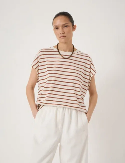 Hush Petra Cotton Relaxed Fit T-shirt In Brown