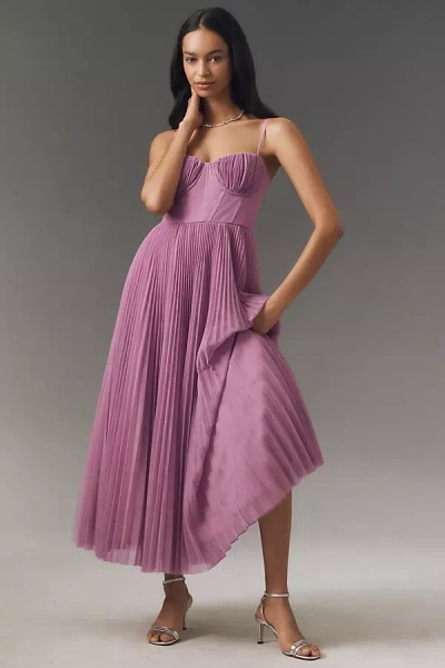 Hutch Amara Corset Pleated Tulle Fit & Flare Midi Dress