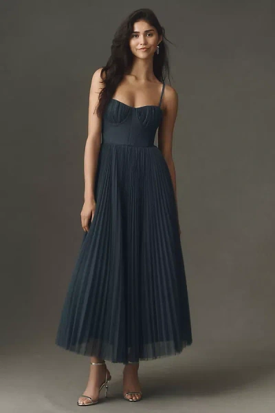 Hutch Amara Corset Pleated Tulle Fit & Flare Midi Dress In Blue