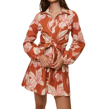 Hutch Betty Dress Dramatic Vining Iris In Copper-orange In Multi