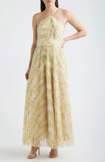 Hutch Blaine Pleated Gown In Gold