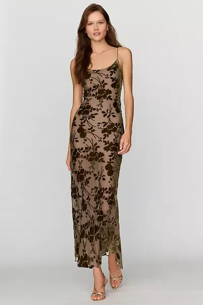 Hutch Burnout Velvet Slip Maxi Dress In Brown