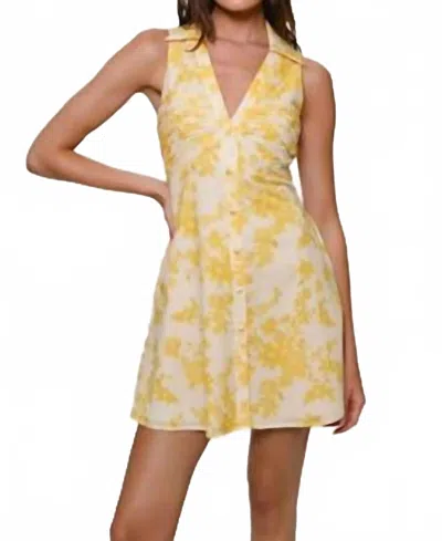 Hutch Colt Collared Mini Dress In Champagne Danity Fuzzy Floral In Multi