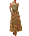 Hutch Costella Pleated Floral-print Tulle Gown