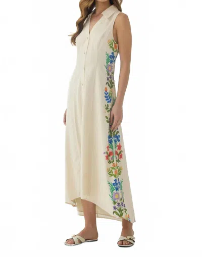 Hutch Florantina Maxi Dress In Beige In Neutral