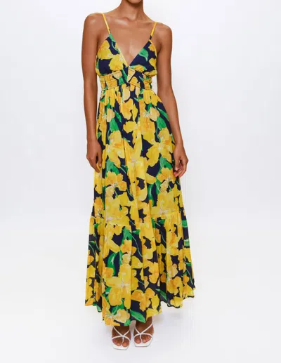 Hutch Fran Watercolor Dress In Multi In Brown