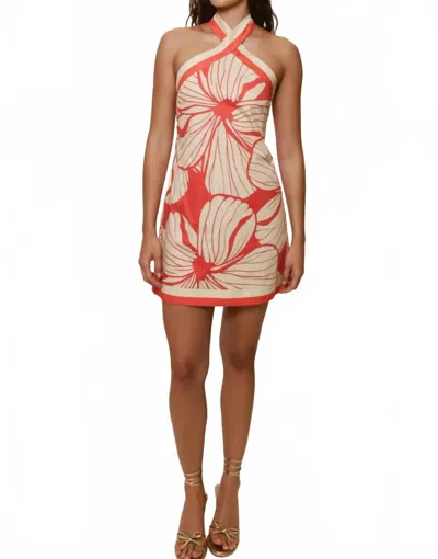 HUTCH HALTER NECK MINI DRESS IN CORAL BLOCK PRINT PLUMERIA