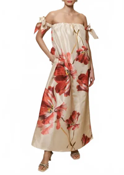 Hutch Iris Dress In Taupe/red In Multi