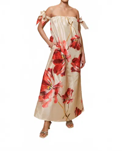 Hutch Iris Maxi Dress In Taupe Breezy Bloom In Neutral