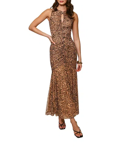 Hutch Julia Ruched Mesh Maxi Dress In Brown