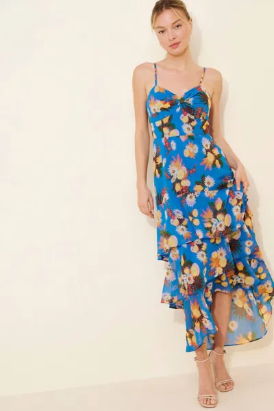 Hutch Kennedi Maxi Dress In Blue In Multi