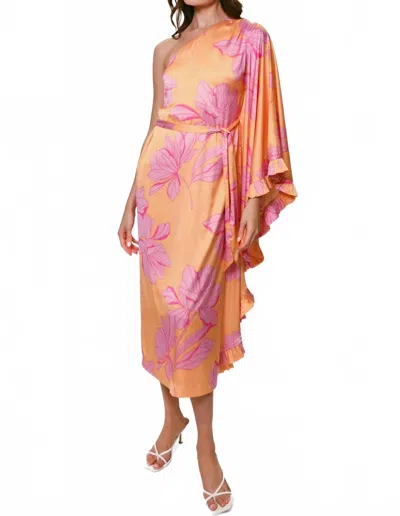 Hutch Morgan One Shoulder Dress In Multi