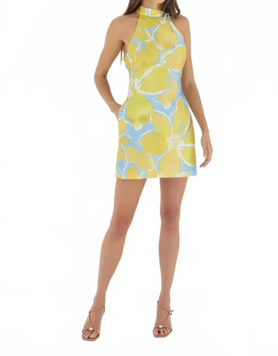 Hutch Nami Mini Dress In Watercolor Gardenia In Multi