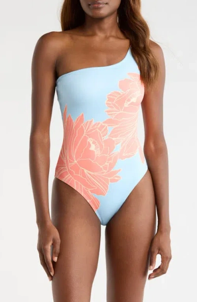 Hutch Placement Print One-shoulder One-piece Swimsuit In Multi