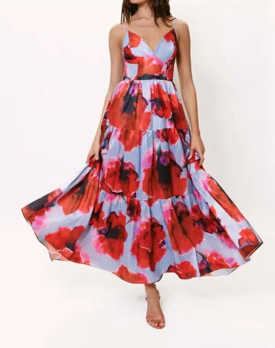 Hutch Russo Maxi Dress In Red Blot Floral In Multi