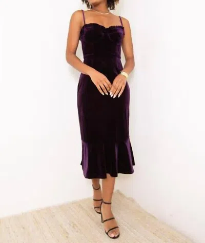 Hutch Selene Velvet Midi Dress In Purple Velvet In Black