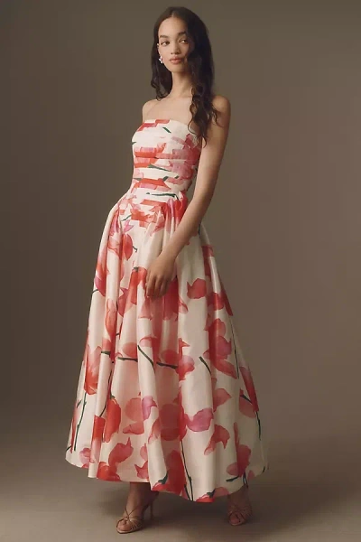 Hutch Sianna Gown In Multi